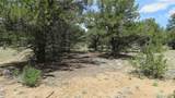 28922 Timber Ridge - Photo 32
