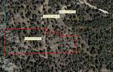 25925 Lost Cabin Trail - Photo 11