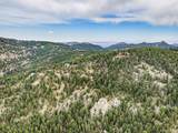 25925 Lost Cabin Trail - Photo 10