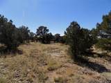  Little Bear Road - Photo 11