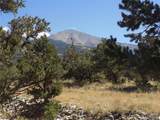  Little Bear Road - Photo 12