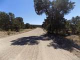  Little Bear Road - Photo 14