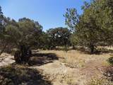  Little Bear Road - Photo 3