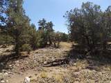  Little Bear Road - Photo 4