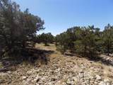  Little Bear Road - Photo 5