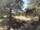  Little Bear Road - Photo 6