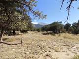  Little Bear Road - Photo 8