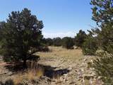  Little Bear Road - Photo 9