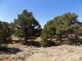  Little Bear Road - Photo 10