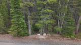 Lot 285 Lower Forest Road - Photo 16