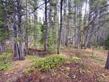 Lot 285 Lower Forest Road - Photo 4