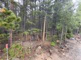 Lot 285 Lower Forest Road - Photo 8