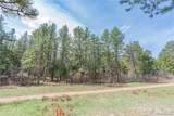 8257 Bannock Drive - Photo 11