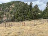 752 County Road 16 - Photo 4