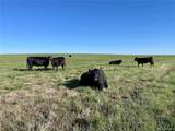  County Road 125 - Photo 1