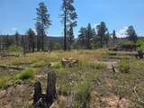 695 Cogbill Drive - Photo 3
