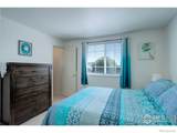 7009 Woodrow Drive - Photo 15