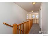 818 Terry Street - Photo 12