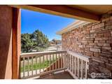 1004 Lucca Drive - Photo 4