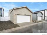 3809 Kenai Street - Photo 15