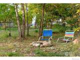 217 Park Street - Photo 5