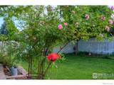 4921 Fountain Street - Photo 17