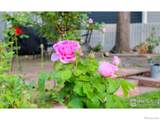 4921 Fountain Street - Photo 18