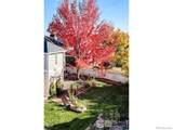 4921 Fountain Street - Photo 19