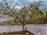 4921 Fountain Street - Photo 21