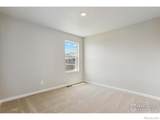 970 Cascade Falls Street - Photo 14