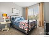 6111 Story Road - Photo 14