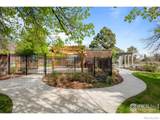 560 Northstar Court - Photo 19