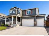 3725 Catmint Street - Photo 2