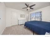 3725 Catmint Street - Photo 25