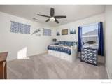 3725 Catmint Street - Photo 28