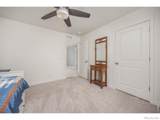 3725 Catmint Street - Photo 29