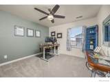3725 Catmint Street - Photo 30