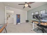 3725 Catmint Street - Photo 31