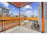 3725 Catmint Street - Photo 35