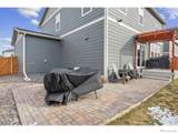 3725 Catmint Street - Photo 36