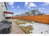 3725 Catmint Street - Photo 37