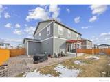 3725 Catmint Street - Photo 38