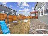 3725 Catmint Street - Photo 39