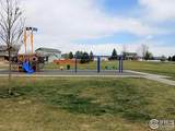 3725 Catmint Street - Photo 40
