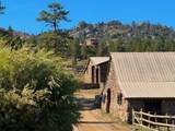 9200 Old Flowers Road - Photo 47