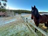 9200 Old Flowers Road - Photo 49