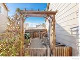1504 Persian Avenue - Photo 37