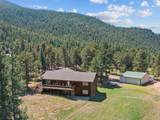 3807 Dollar Lake Drive - Photo 4