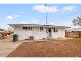 329 Balsam Street - Photo 48