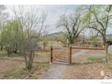 6964 County Road 24 - Photo 11